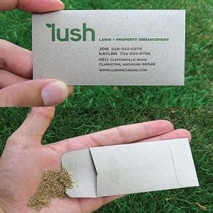 lush-business-card